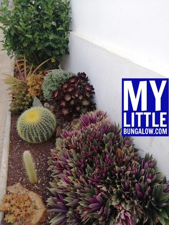 My Little Vakantiehuis