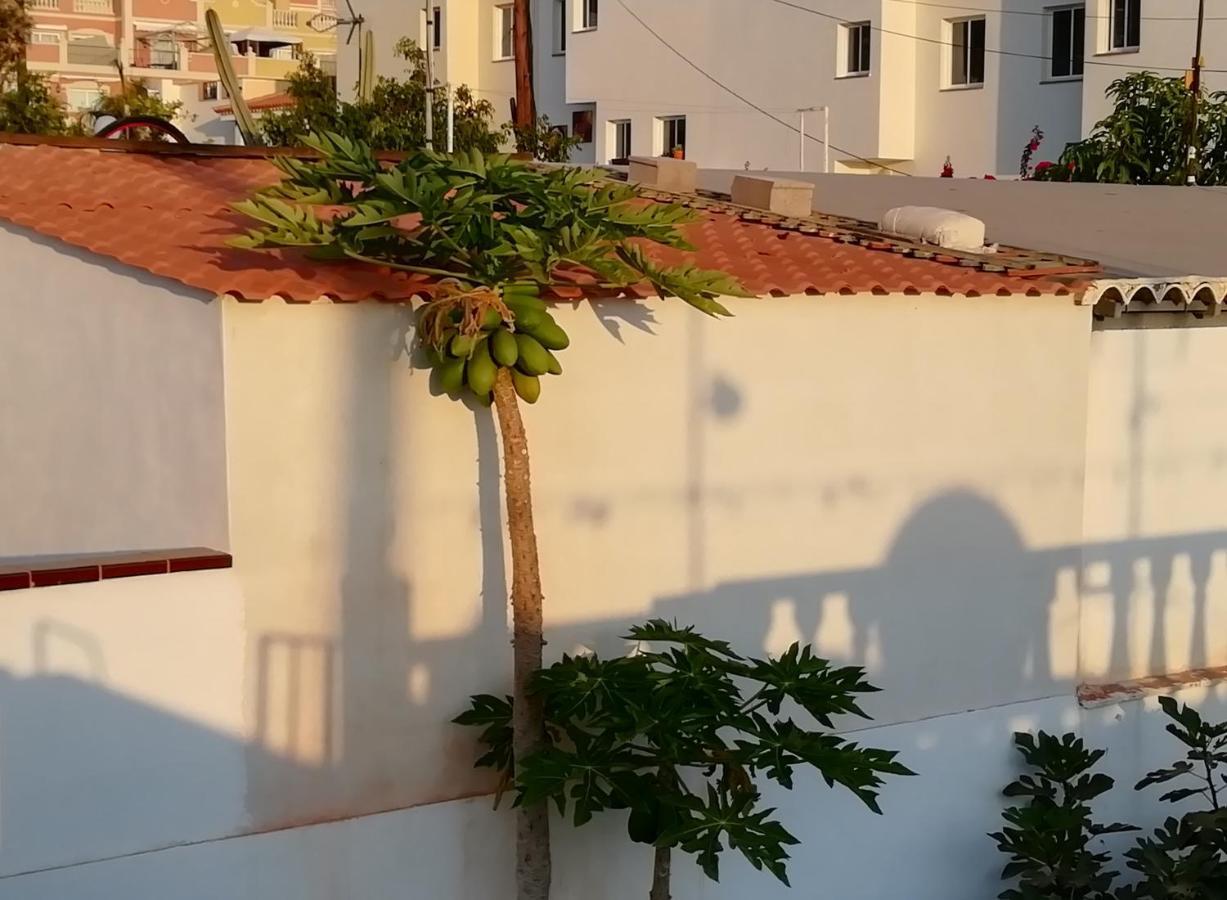 My Little Vakantiehuis Palm-mar